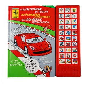 HET RONKENDE FERRARI BOEK -...