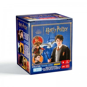 Mega Box Harry Potter...