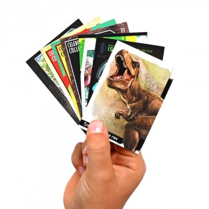 Pochette de 6 cartes...