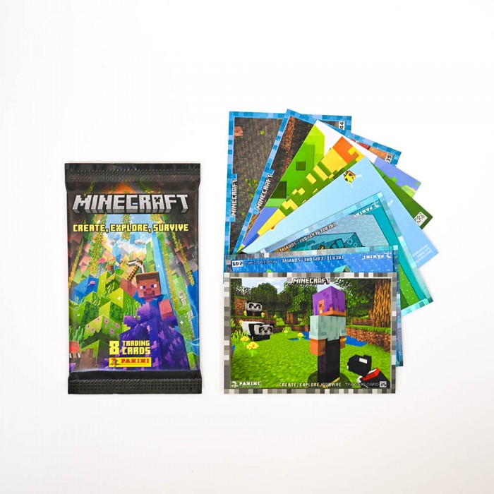 6 Cartes d'Invitation + Enveloppes en carton FSC® - Minecraft™ - Jour de  Fête - Minecraft - Top Licences